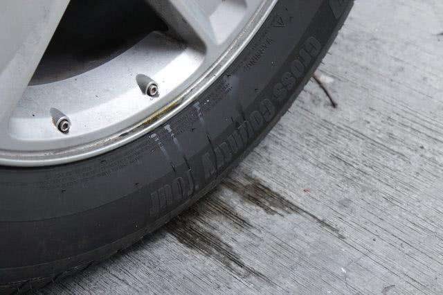 街頭傳言揭秘 狗尿真的會腐蝕你的汽車輪胎嗎